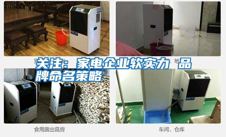 關(guān)注:家電企業(yè)軟實力 品牌命名策略