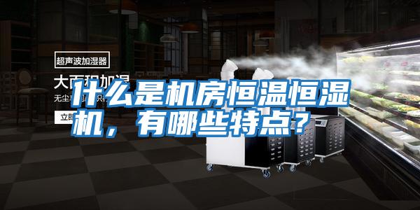 什么是機房恒溫恒濕機，有哪些特點？