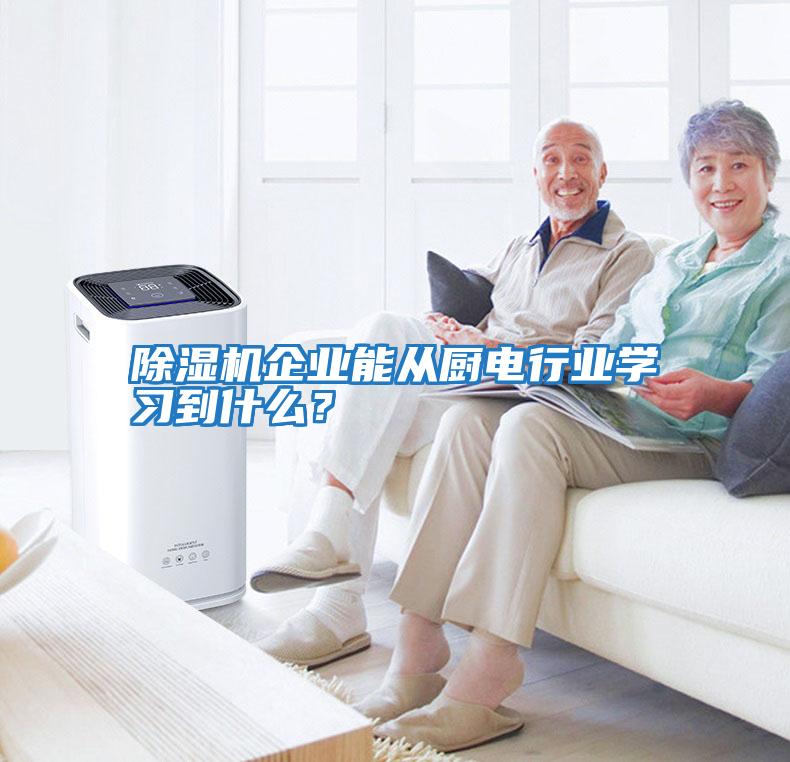 除濕機(jī)企業(yè)能從廚電行業(yè)學(xué)習(xí)到什么?