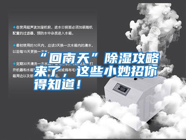 “回南天”除濕攻略來了，這些小妙招你得知道！