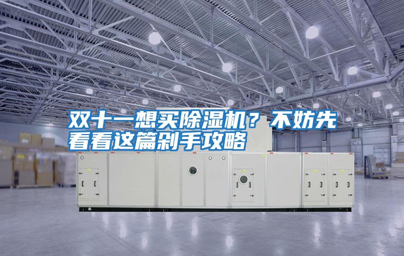 雙十一想買除濕機(jī)？不妨先看看這篇剁手攻略