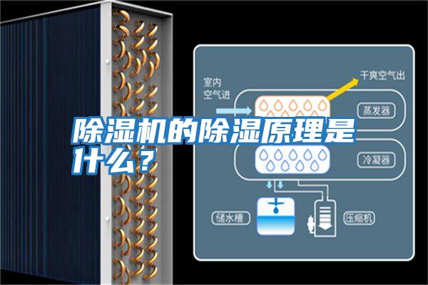 除濕機的除濕原理是什么？