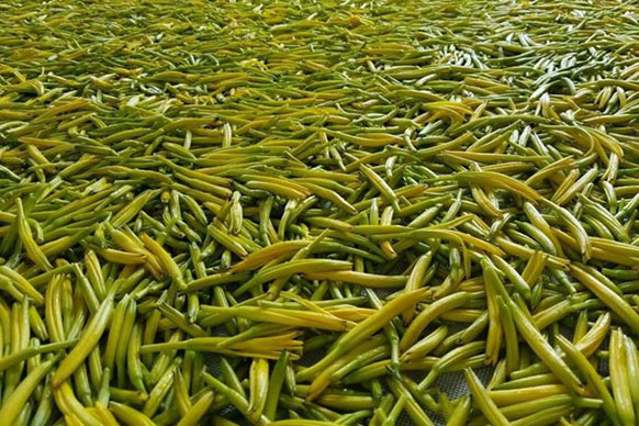 無硫金針菜烘干如何保持品相？不發(fā)黑？