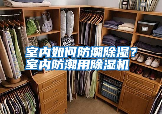 室內如何防潮除濕?室內防潮用除濕機