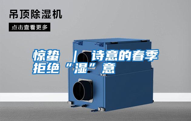 驚蟄 | 詩(shī)意的春季拒絕“濕”意