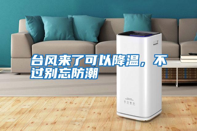 臺風來了可以降溫，不過別忘防潮