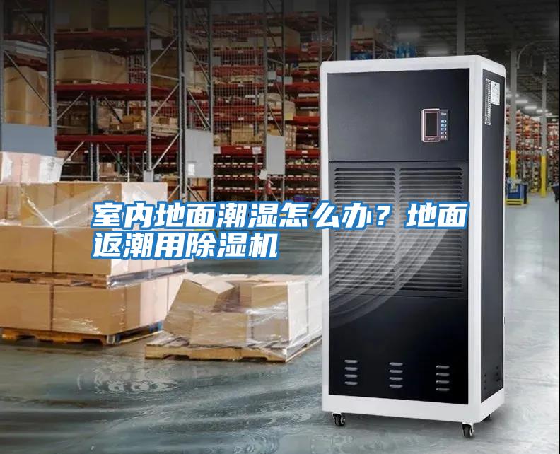 室內(nèi)地面潮濕怎么辦?地面返潮用除濕機(jī)