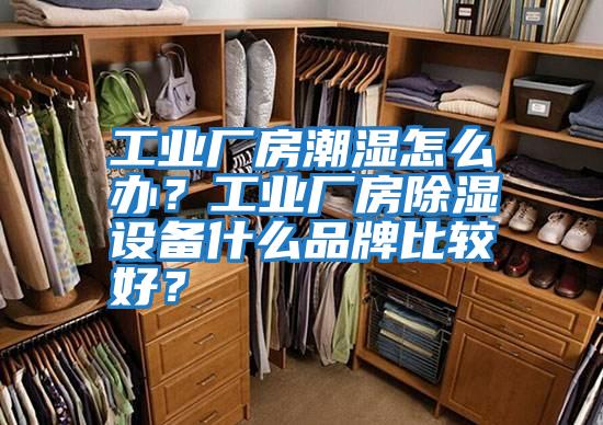 工業(yè)廠房潮濕怎么辦？工業(yè)廠房除濕設(shè)備什么品牌比較好？