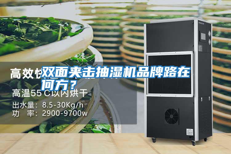 雙面夾擊抽濕機品牌路在何方？