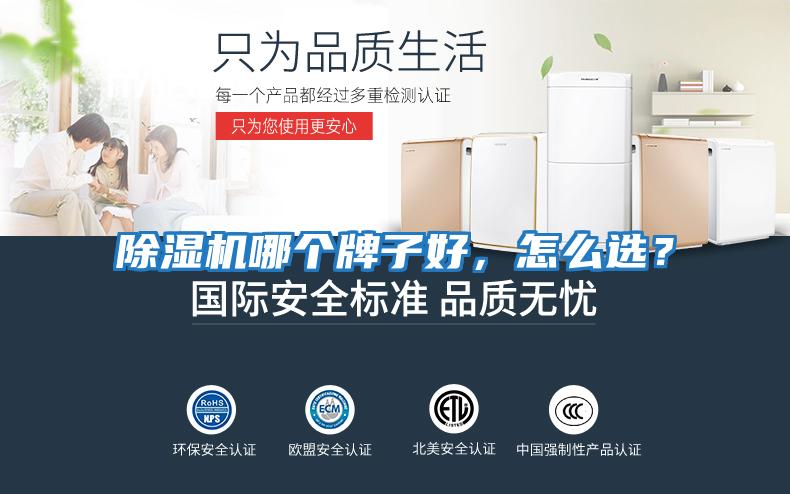 除濕機哪個牌子好，怎么選？