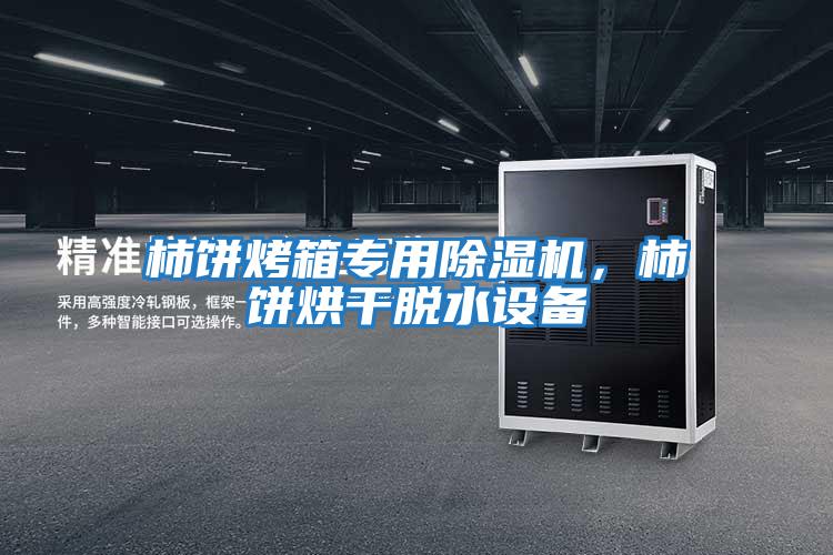 柿餅烤箱專用除濕機，柿餅烘干脫水設備