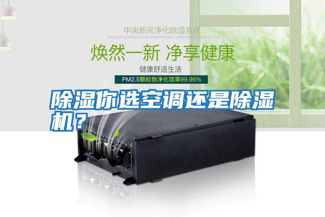 除濕你選空調(diào)還是除濕機？