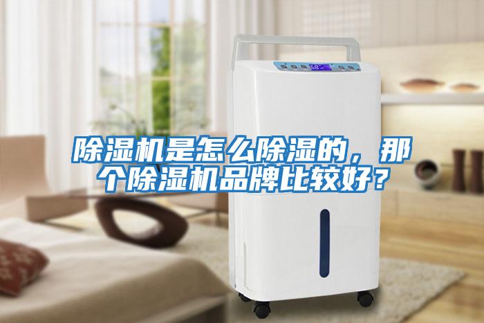 除濕機是怎么除濕的，那個除濕機品牌比較好？
