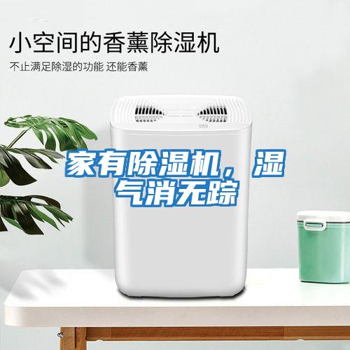 家有除濕機，濕氣消無蹤