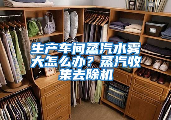 生產車間蒸汽水霧大怎么辦？蒸汽收集去除機