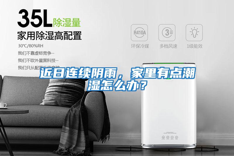 近日連續陰雨,家里有點潮濕怎么辦?