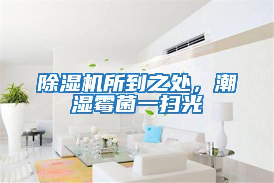 除濕機所到之處，潮濕霉菌一掃光