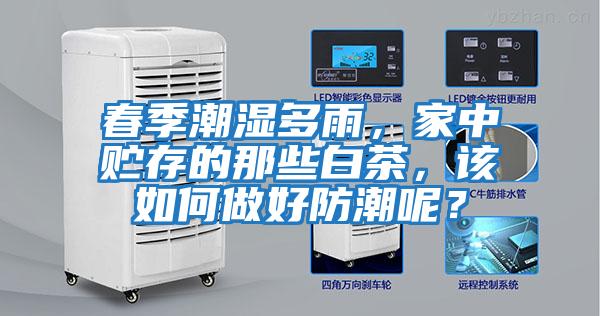 春季潮濕多雨,家中貯存的那些白茶,該如何做好防潮呢?