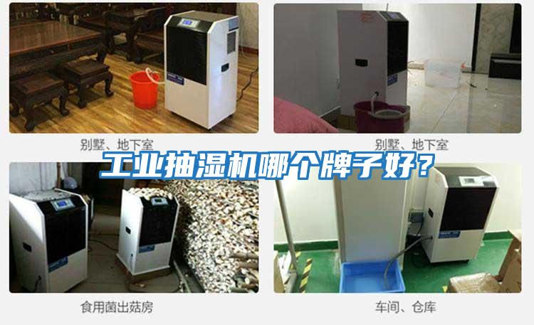 工業(yè)抽濕機(jī)哪個牌子好？