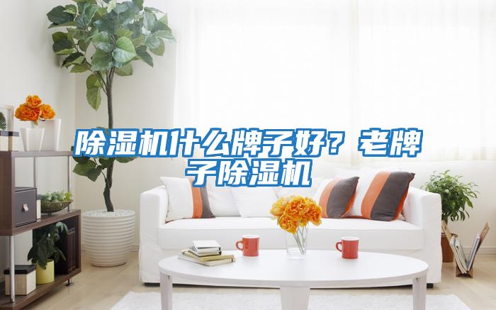 除濕機什么牌子好？老牌子除濕機