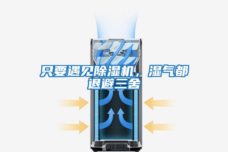只要遇見(jiàn)除濕機(jī),濕氣都退避三舍