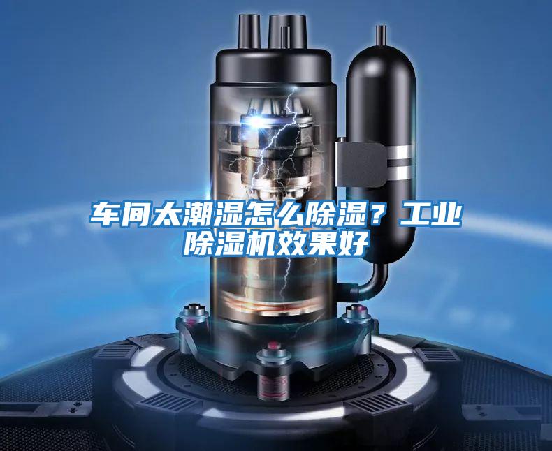 車間太潮濕怎么除濕?工業(yè)除濕機效果好