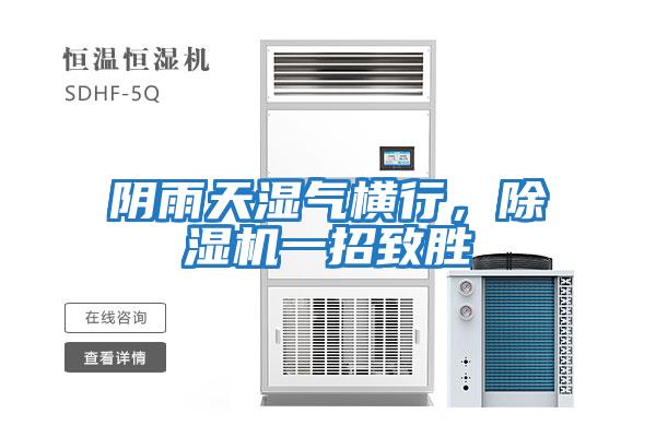 陰雨天濕氣橫行，除濕機一招致勝