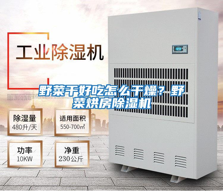 野菜干好吃怎么干燥？野菜烘房除濕機