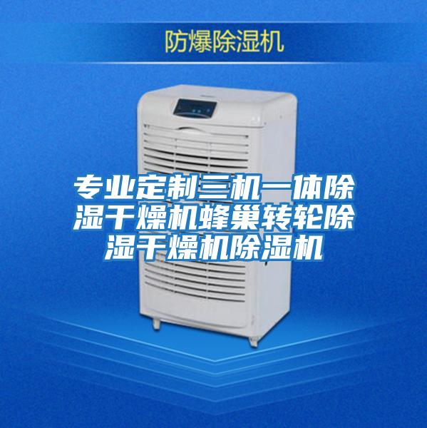 專業定制三機一體除濕干燥機蜂巢轉輪除濕干燥機除濕機