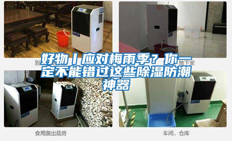 好物丨應(yīng)對(duì)梅雨季？你一定不能錯(cuò)過這些除濕防潮神器
