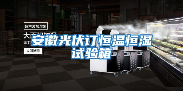 安徽光伏訂恒溫恒濕試驗(yàn)箱