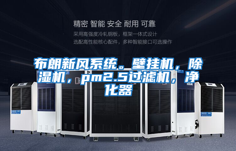 布朗新風系統。壁掛機，除濕機，pm2.5過濾機，凈化器