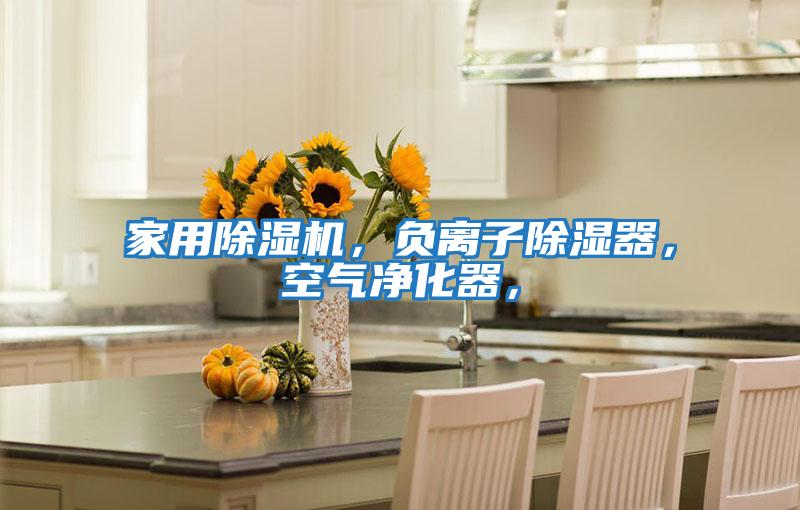 家用除濕機，負離子除濕器，空氣凈化器，