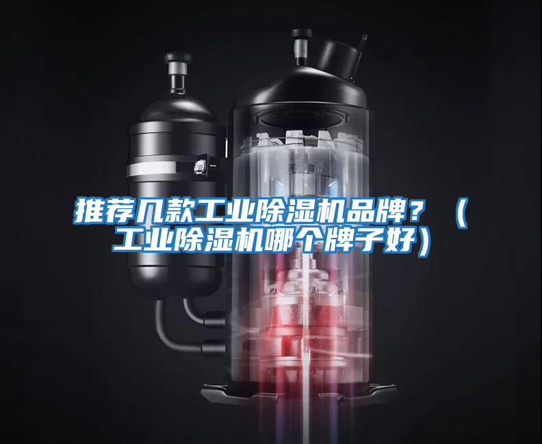 推薦幾款工業除濕機品牌？（工業除濕機哪個牌子好）