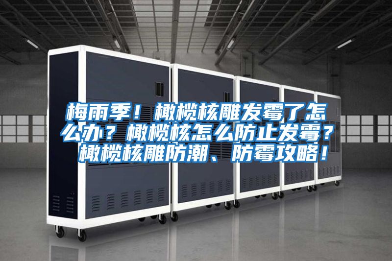 梅雨季！橄欖核雕發霉了怎么辦？橄欖核怎么防止發霉？ 橄欖核雕防潮、防霉攻略！