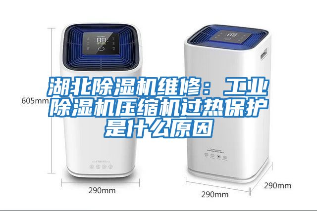 湖北除濕機維修：工業除濕機壓縮機過熱保護是什么原因