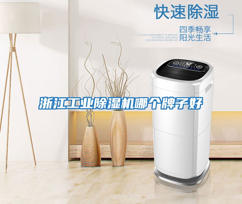 浙江工業(yè)除濕機(jī)哪個牌子好