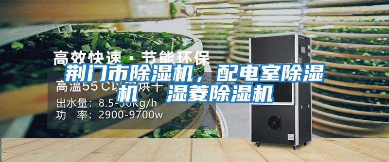 荊門市除濕機(jī)，配電室除濕機(jī)  濕菱除濕機(jī)