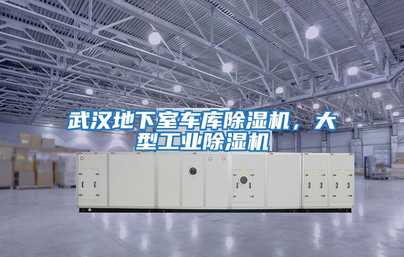 武漢地下室車庫除濕機，大型工業(yè)除濕機