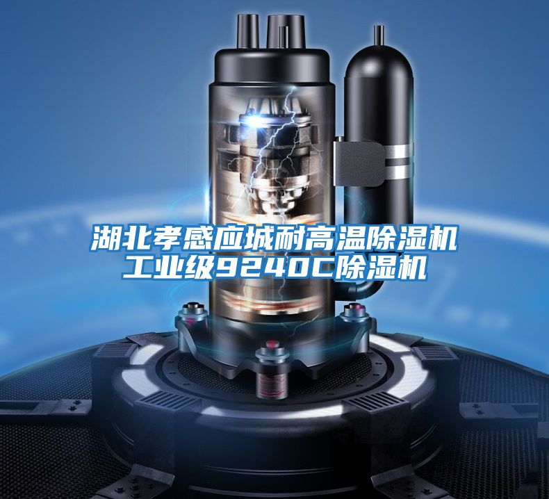 湖北孝感應城耐高溫除濕機工業級9240C除濕機