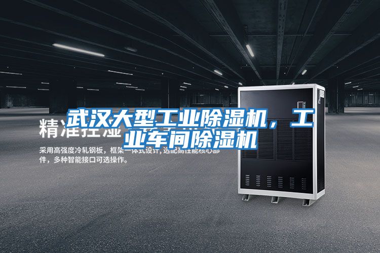 武漢大型工業(yè)除濕機，工業(yè)車間除濕機