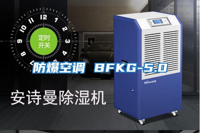 防爆空調 BFKG-5.0