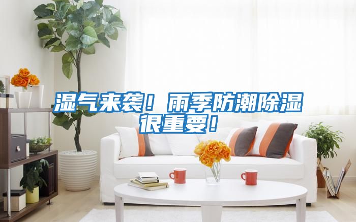 濕氣來襲！雨季防潮除濕很重要！