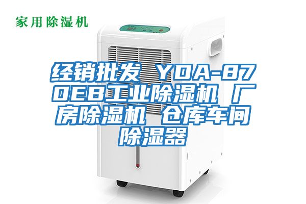 經銷批發 YDA-870EB工業除濕機 廠房除濕機 倉庫車間除濕器