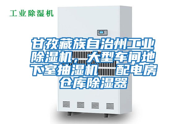 甘孜藏族自治州工業除濕機，大型車間地下室抽濕機  配電房倉庫除濕器
