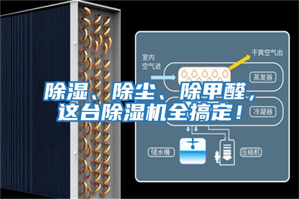 除濕、除塵、除甲醛，這臺除濕機全搞定！
