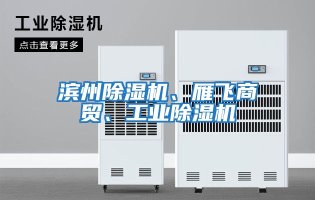 濱州除濕機、雁飛商貿、工業除濕機