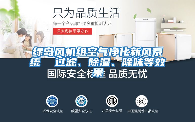 綠島風(fēng)機(jī)組空氣凈化新風(fēng)系統(tǒng)  過(guò)濾、除濕、除味等效果