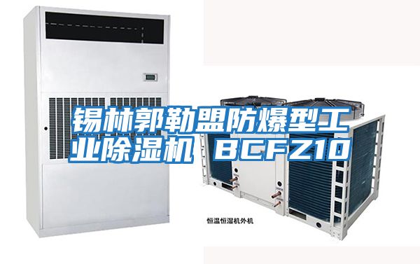 錫林郭勒盟防爆型工業除濕機 BCFZ10