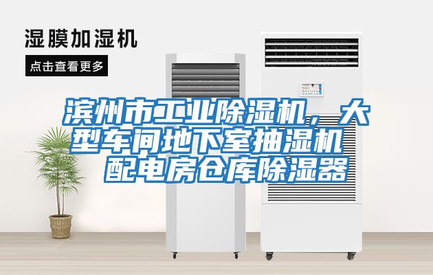 濱州市工業除濕機，大型車間地下室抽濕機  配電房倉庫除濕器